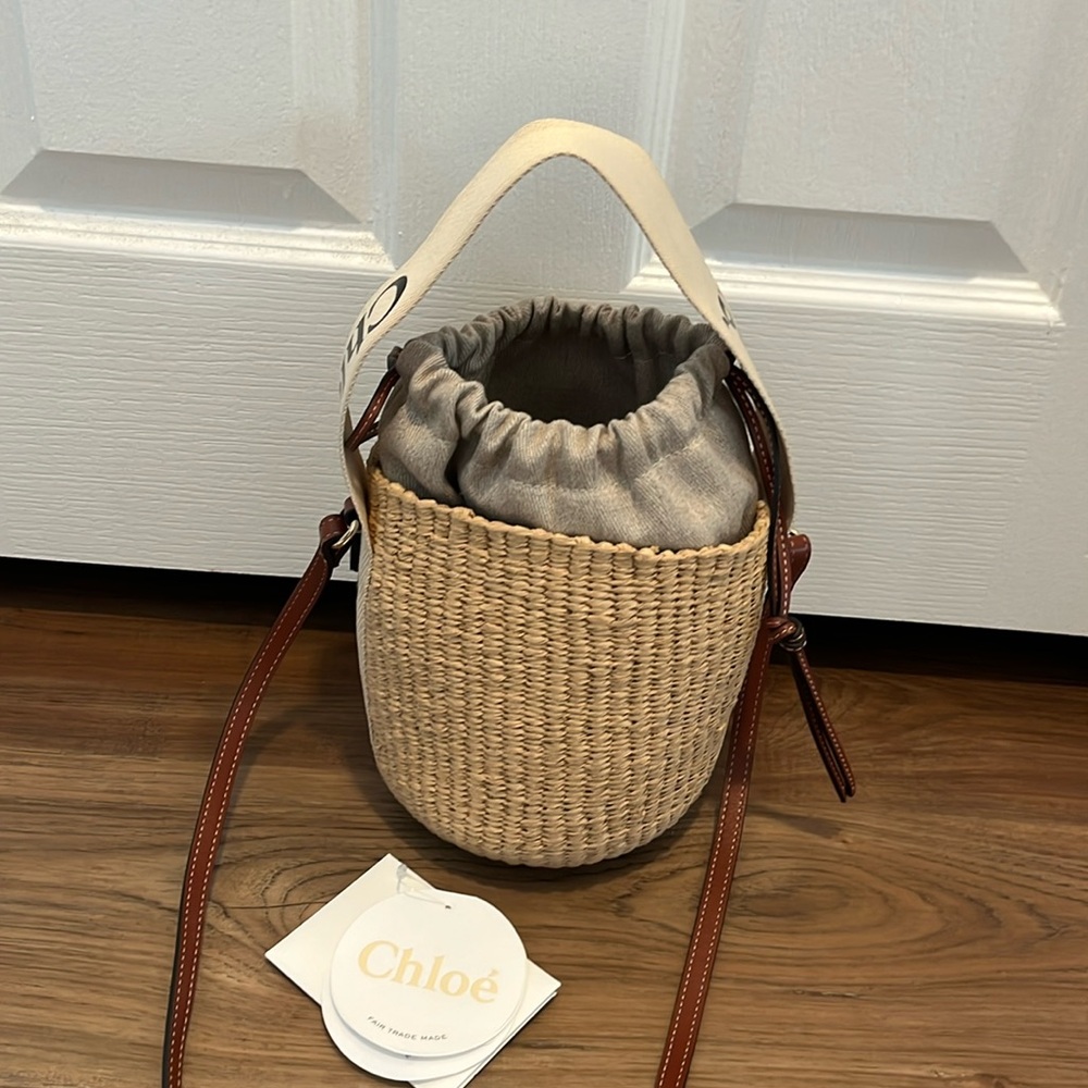Chloe Woody small leather-trimmed raffia basket bag